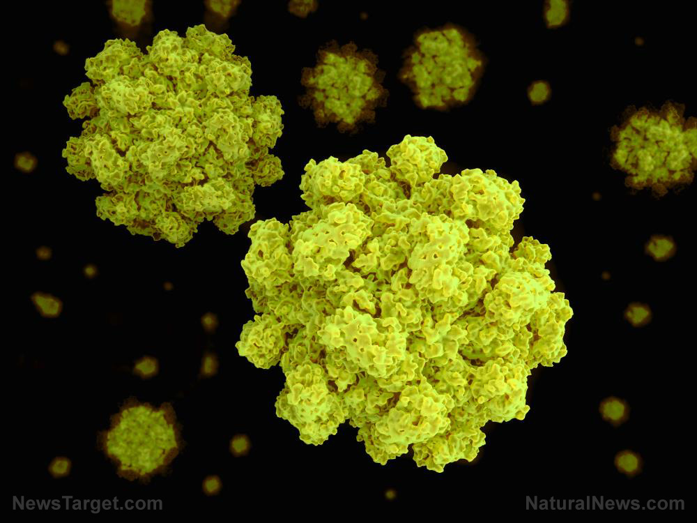 Norovirus 2025: What to Know About This Year’s Stomach Bug